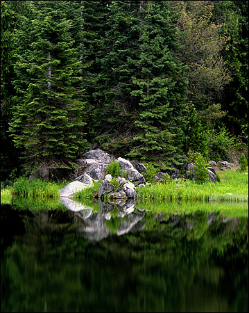 Reflection at Fish Camp Near Yosemite National Park, CA